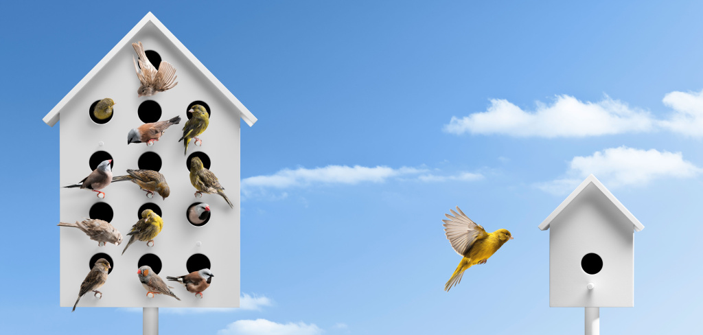 Birdhouse with one bird flying to new birdhouse