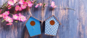 two blue birdhouses surrounded by pink flowers