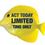 Fish - act today limited time only